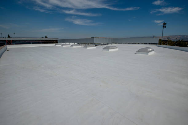 Best Skylight Installation and Repair  in Jordan, MN