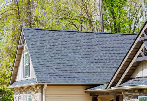 Best Roof Insulation Installation  in Jordan, MN